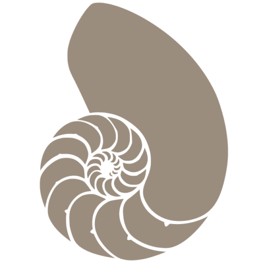 the fibonacci shell